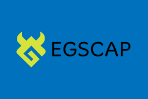 Logo screenshot of suspicious platform